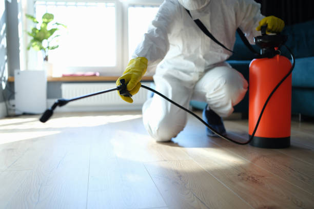 Reliable Odor Removal contractor in Berthoud, CO by Trauma Clean Pros